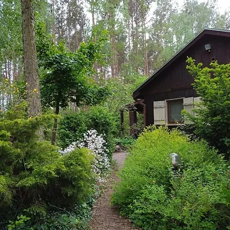 Vakantiehuis Lesne Zacisze Ostrowo (Slupca)