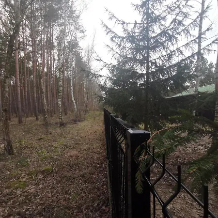 Lesne Zacisze Ostrowo (Slupca)